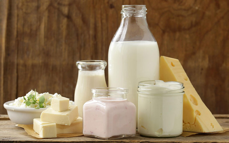 Properties Of Dairy Products For The Human Body